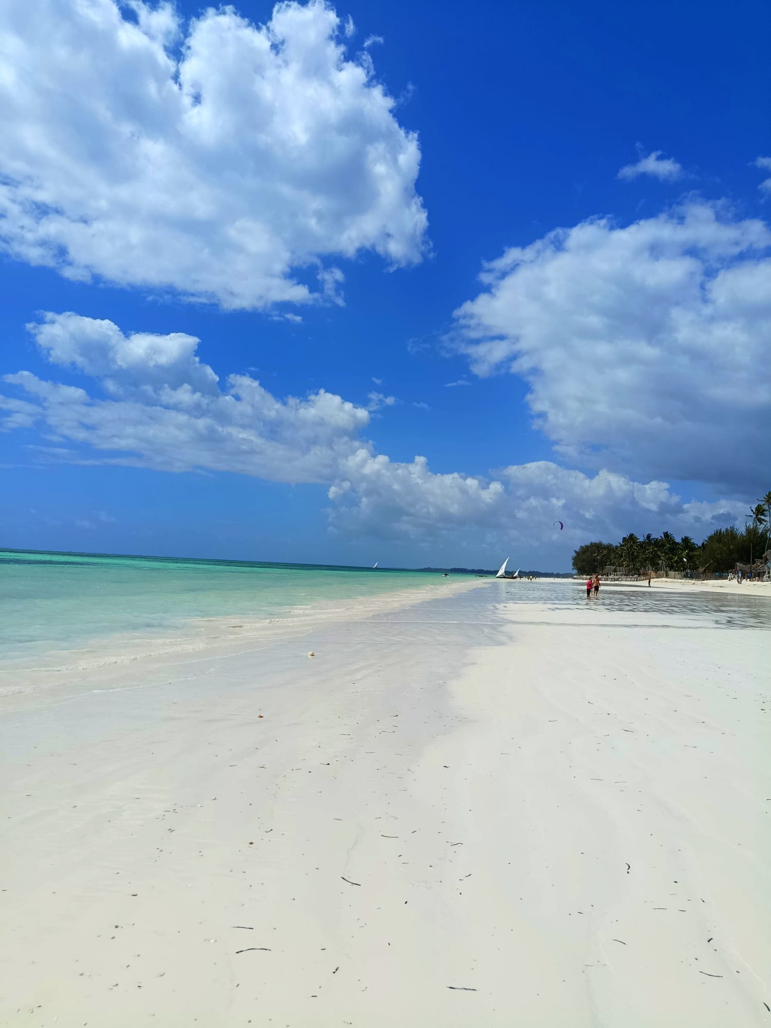 Spiaggia di Kiwengwa, Zanzibar